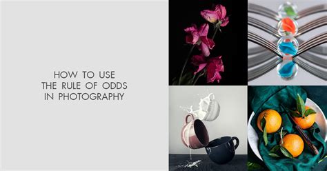 How to Use the Rule of Odds in Photography: Tips & Ideas.